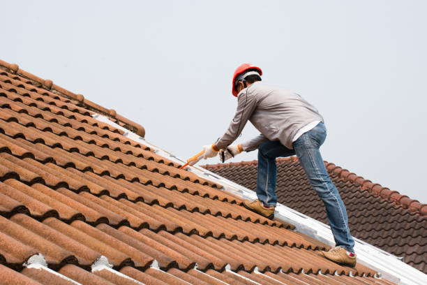 Best Rubber Roofing (EPDM, TPO)  in Bellingham, WA