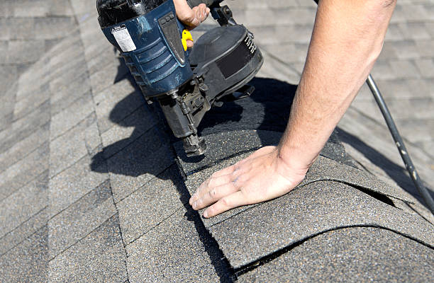 Best Roof Moss and Algae Removal  in Bellingham, WA