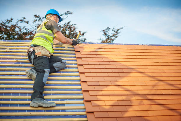 Best Roof Coating and Sealing  in Bellingham, WA
